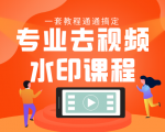 专业去视频水印教程 静态水印、动态水印、文字水印、图片水印一套教程通通搞定-无痕资源库