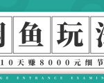 龟课·闲鱼项目玩法实战班第12期，操作10天左右利润有8000元细节玩法-无痕资源库