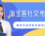 某站内部课程：淘宝客社交电商裂变，精准引流和粉丝裂变模式详解（共6节视频）-无痕资源库