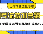 卓凡引流特训营第一期：高手零成本引流秘籍和操作技巧，让你精准流量倍增-无痕资源库