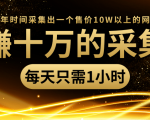 年赚十万的采集站，每天却只需要1小时，一年时间采集出一个售价10W以上的网站-无痕资源库