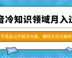 抖音冷知识领域月入过万项目，不适宜公开解决方案 ，抖音赚钱方式大解析！-无痕资源库