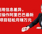 利用信息差异，零投资操作阿里巴巴最新管道项目轻松月赚10000+-无痕资源库