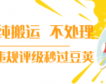 抖音纯搬运 不处理 小技巧,30秒发一个作品,避免违规评级秒过豆荚-无痕资源库