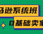 亚马逊系统班，专为0基础卖家量身打造，亚马逊运营流程与架构-无痕资源库