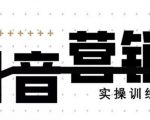 《12天线上抖音营销实操训练营》通过框架布局实现自动化引流变现-无痕资源库