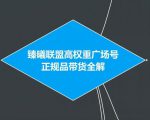 臻曦联盟抖音高权重广场号无人直播正规品带货全解-无痕资源库
