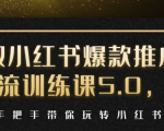小红书爆款推广引流训练课5.0，手把手带你玩转小红书（17节实操视频+话术）-无痕资源库