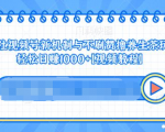 视频号新机制与不刷赞撸养生茶玩法，轻松日赚1000+-无痕资源库
