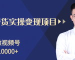 柚子分享课：微信视频号变现攻略，新手零基础轻松日赚千元-无痕资源库