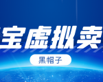 黑帽子淘宝虚拟卖货项目，单店每月收入5000+-无痕资源库