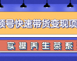 柚子视频号带货实操变现项目，零基础操作养身茶月入10000+-无痕资源库