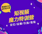 零基础小白进阶到大神《短视频魔力特训营》定位-运营-引流-变现-无痕资源库