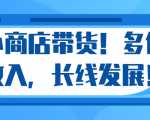 微信小商店带货，爆单多倍收入，长期复利循环！日赚300-800元不等-无痕资源库