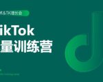 2020最新TikTok流量增长训练营(完结)附PPT-无痕资源库