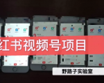 野路子小红书视频号1.0项目，直接上手操作就能赚钱的视频号项目-无痕资源库