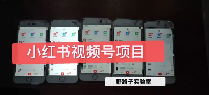 野路子小红书视频号1.0项目，直接上手操作就能赚钱的视频号项目-无痕资源库