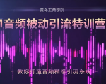 黄岛主·FM音频引流特训营2.0：独家引流模式，单账号50W+播放量，轻松变现-无痕资源库