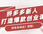 拼多多新人打造爆款创业课：快速引流持续出单，适用于所有新人-无痕资源库