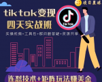 tiktok变现四天实战班，连怼技术+矩阵玩法赚美金！价值998元-无痕资源库