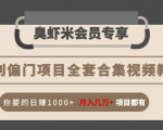 暴利偏门项目全套合集视频教程：你要的日赚1000+月入几万+项目都有-无痕资源库