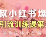 狼叔小红书爆款推广引流训练课第12期，手把手带你玩转小红书-无痕资源库