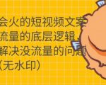 只说话就会火的短视频文案课，从根本上解决没流量的问题-无痕资源库