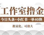 工作室撸金二件套：撸今日头条原创收益+小红书一单利润40块项目-无痕资源库