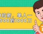 Paypal拉新赚美刀项目，单人一天利润500-1000刀【视频课程】-无痕资源库