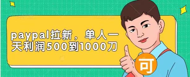 Paypal拉新赚美刀项目,单人一天利润500-1000刀【视频课程】-无痕资源库