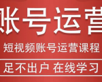 短视频账号运营课程：从话术到短视频运营再到直播带货全流程，新人快速入门-无痕资源库