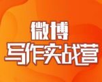 村西边老王·微博超级写作实战营，帮助你粉丝猛涨价值999元-无痕资源库