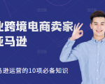 职业跨境电商卖家聊亚马逊：亚马逊运营的10项必备知识，12堂课让你看懂亚马逊运营-无痕资源库