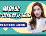 微创业全能训练营认证班课程，从理论知识与实际案例手把手指导创业新手如何从零到有-无痕资源库