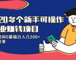 20多个新手可操作的副业赚钱项目:业余时间0基础日入几500+实操分享-无痕资源库