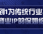 从0到1为传统行业打造抖音商业IP简单高效的保姆级攻略-无痕资源库
