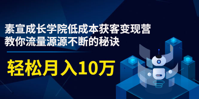 素宣成长学院低成本获客变现营，教你流量源源不断的秘诀，轻松月入10万-无痕资源库