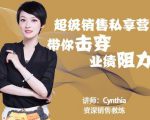 有料识堂·超级销售私享课，解密顶级销售的套路打法助你升级销冠-无痕资源库