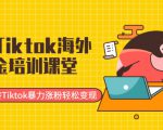 最新Tiktok海外掘金培训课堂:带你玩转Tiktok暴力涨粉轻松变现-无痕资源库