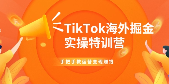 TikTok海外掘金实操特训营：手把手教运营变现赚钱-无痕资源库