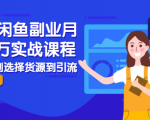 2021闲鱼副业月入过万实战课程：从开店到选择货源到引流，全程实战教学-无痕资源库
