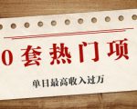 30套热门项目：单日最高收入过万 (网赚项目、朋友圈、涨粉套路、抖音、快手)等-无痕资源库