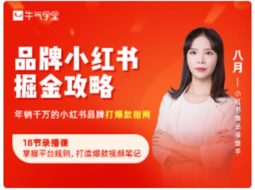 品牌小红书掘金攻略，年销千万的小红书品牌打爆款指南-无痕资源库