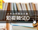 未来新趋势，布局短视频SEO，如何利用抖音SEO免费获得精准流量（3节课）-无痕资源库