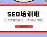 SEO培训班课程，手把手教你做出一个权重6的例站，价值8000元-无痕资源库