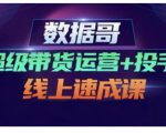数据哥·超级带货运营+投手线上速成课，快速提升运营和熟悉学会投手技巧-无痕资源库
