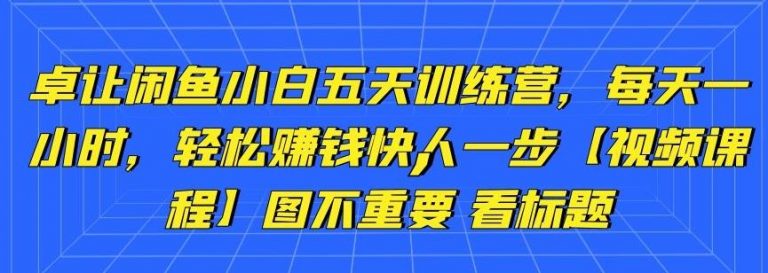 卓让闲鱼小白五天训练营，每天一小时，轻松赚钱快人一步-无痕资源库