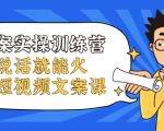 文案实操训练营，只说话就能火的短视频文案课-无痕资源库