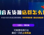 蟹老板·抖音无货源店群怎么做，吊打市面一大片《抖音无货源店群》的课程-无痕资源库