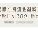 1套精准引流金融粉方法，轻松日引300+粉丝-无痕资源库